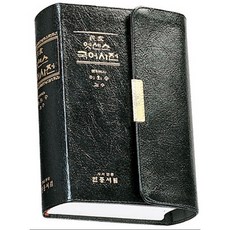 엣센스 국어사전 특수장정, 민중서림