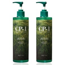 CP-1 데일리 모이스처 내추럴 샴푸, 500ml, 2개