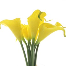 71f872b0-3f95-444c-93a6-78c92da0fdf2.jpg