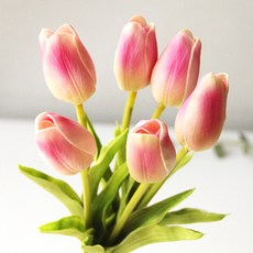 0d0fb0e7-4cfe-4844-9b42-1075a8a68b4e.jpg