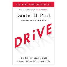 [해외도서] Drive : The Surprising Truth About What Motivates Us, Riverhead Books