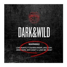 방탄소년단 - DARK & WILD 정규1집, 1CD