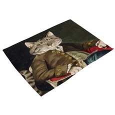 고양이범백키트