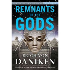 Remnants of the Gods: A Virtual Tour of Alien Influence in Egypt Spain France Turkey and Italy, New Page Books