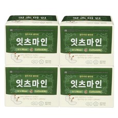 잇츠마인 원두커피 대형 생리대 날개형, 12개입, 4팩