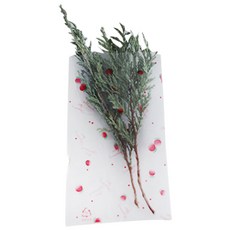 티나피크닉 미니딸기 비접착 포장 봉투 7 x 12 cm, 1개입, 100개