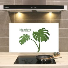 몬스테라아트보드