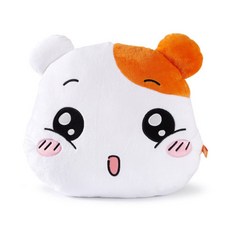 에비츄얼굴쿠션