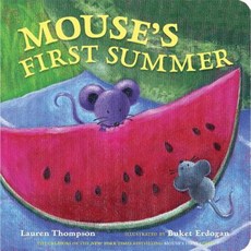 Mouse's First Summer Board Books, Little Simon