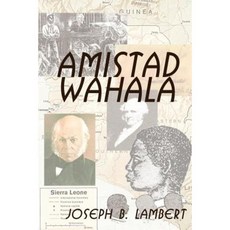 Amistad Wahala - Freedom's Lightning Flash: The White House Under Fire Paperback, Authorhouse