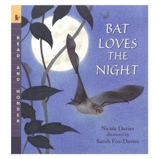 Bat Loves the Night paperback, Candlewick Pr