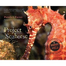 Project Seahorse Paperback 2015년 06월 23일 출판, Houghton Mifflin