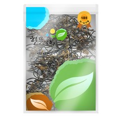 신영몰 건고사리, 100g, 1개
