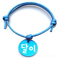 펫츠룩 굿모닝 블루 반려동물 목걸이 M + 알미늄원형 팬던트 S, 블루(달이), 1개