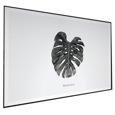 몬스테라아트보드