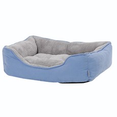 다이슨코랄블루