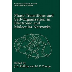 Phase Transitions and Self-Organization in Electronic and Molecular Networks Hardcover, Springer