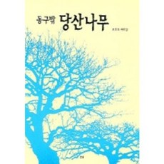 동구밖당산나무(개정판), 눈빛