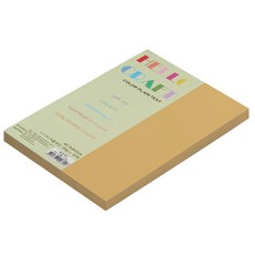 뉴씨플레인 종이문화 친환경 양면색상지 No22 연갈색 100p, 1개