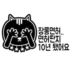 장롱면허 시리즈 스티커 하늘색 55.면허딴지 10년 됐어요