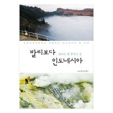 인도네시아여행책