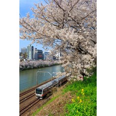 b3e95aec-9f8b-4659-ad0d-544d3fac7cd3.jpg