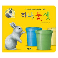 하나 둘 셋:우리 아이 처음 만나는 숫자 그림책, 베틀북