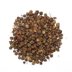 갑당약초 복분자 건조, 300g, 1개입, 1개