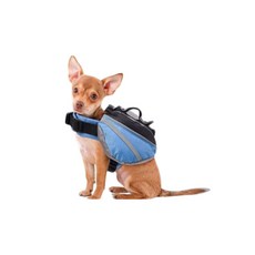 펫나인 스포츠 강아지 가방 XS, 블루, 1개