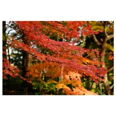 4d7187ce-99d5-4dd2-b21a-ec101e699b67.jpg