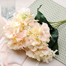 63edfce0-69cc-431f-8dae-042f0ef9040a.jpg