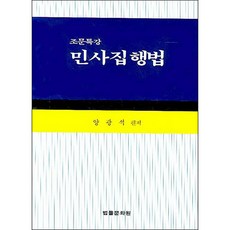조문특강 민사집행법, 법률문화원