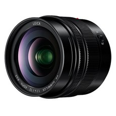 파나소닉 마이크로포서드 단렌즈 H-X012
