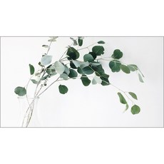 주방식물아트보드