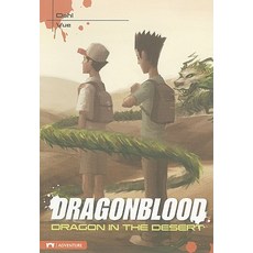 Dragon in the Desert Paperback, Stone Arch Books