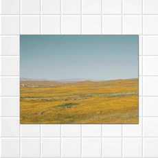 주방강화유리아트보드