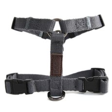 도그아이하네스