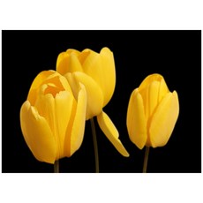 강화유리아트보드