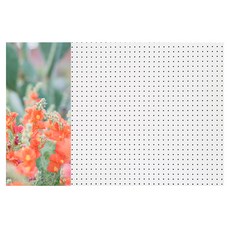 앤비커머스 인테리어 타공판 너의이름은PP 좌 WHITE, 1개