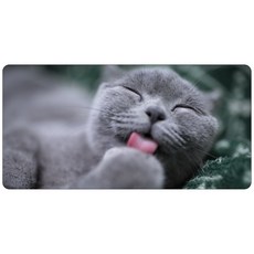 d45b5200-613b-428a-8cbb-a9968873d76b.jpg