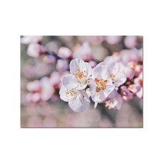 부엌강화유리800