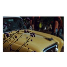 uvds아트보드보라색꽃