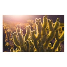 주방식물아트보드