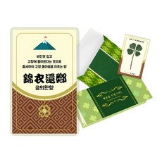 럭키심볼 행운의 네잎클로버 생화 성공 사자성어 카드 세트, 금의환향, 2세트
