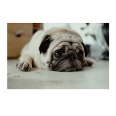 주방아트보드어린왕자