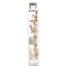 109方形瓶永生花, 金雛菊