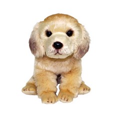  위더펫 골든리트리버 시팅 강아지 인형 25cm 혼합 색상 