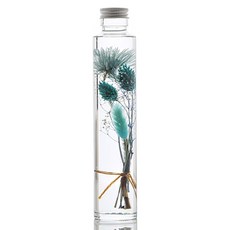 ilogu 植物標本室圓瓶, 藍綠