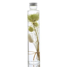 ilogu 植物標本室圓瓶, 綠色