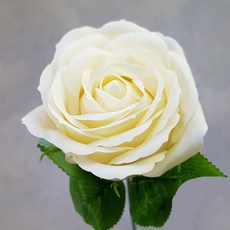 d2b1b9d9-ef15-452b-ab6f-701b33f8ef42.jpg